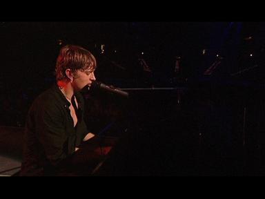 Bright Lights