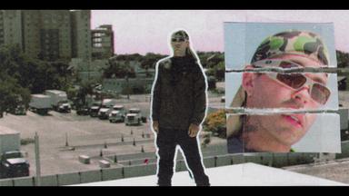 VIDEITOXX