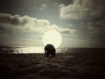 The Ring