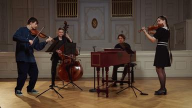 Serenade in C Major, K. 648 "A Very Little Night Music" (Original Version for 2 Violins & Bass): VII. Finale. Allegro - World Premiere Recording