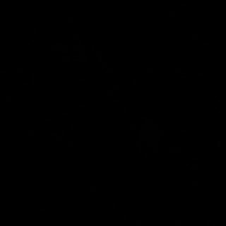 O