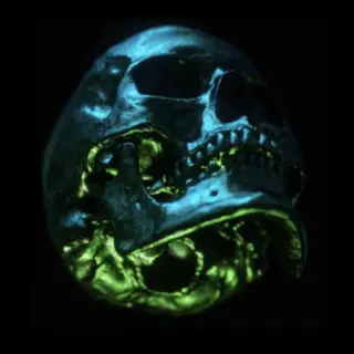 H5