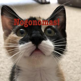 N!