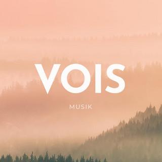 VM