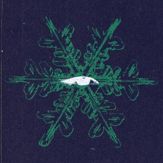 NP