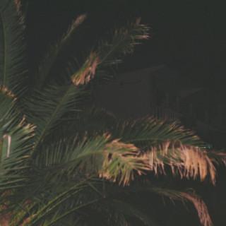TW