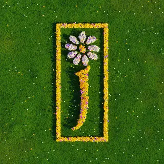 J