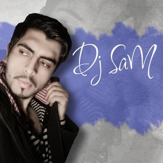 DS