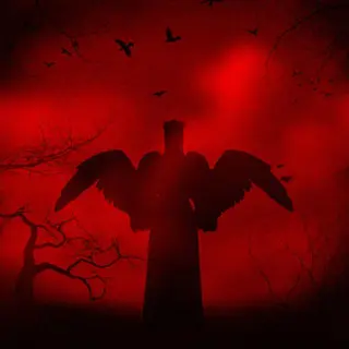 IS