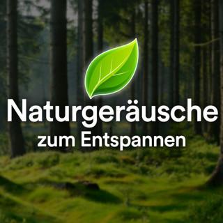 NE