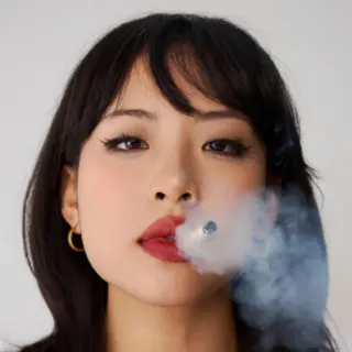 VN