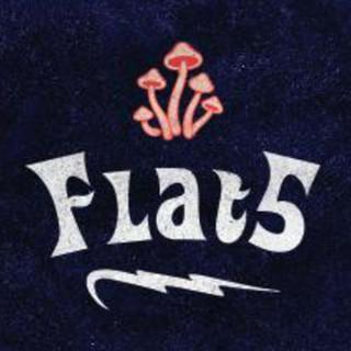 F5