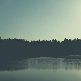 MY