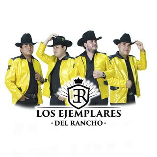 LR
