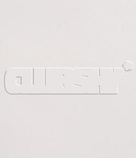 CS