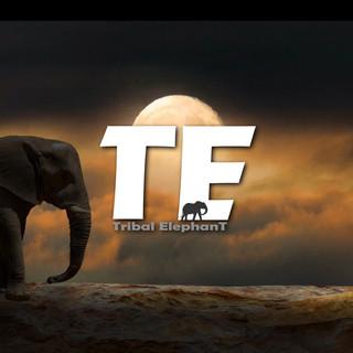 TE