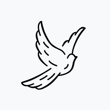 PP