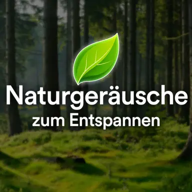 NE