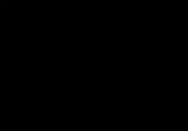 FP