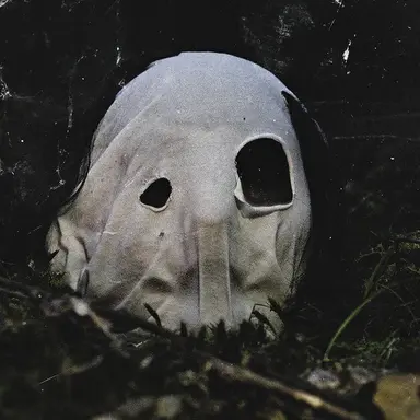 TF