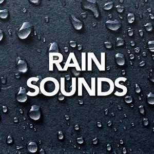 Rainy Coasts