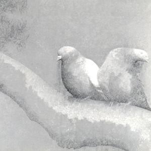 AS