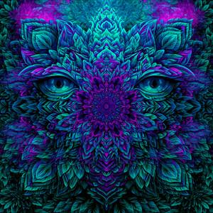 NP