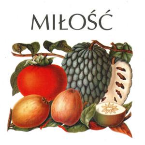 MŚ