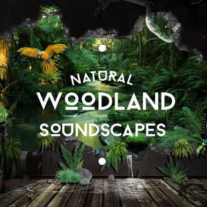 Wood Song