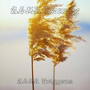 AB