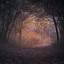 Dawn of a New Day