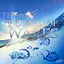 Ocean Waves