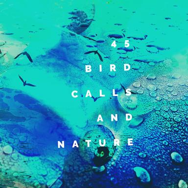 Bird Calls at the River