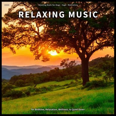 Mindfulness Therapy