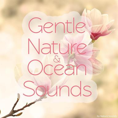 Wave Sounds