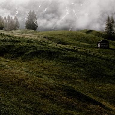 Harmonious Haven