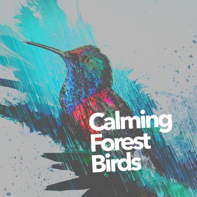 Bright Birds