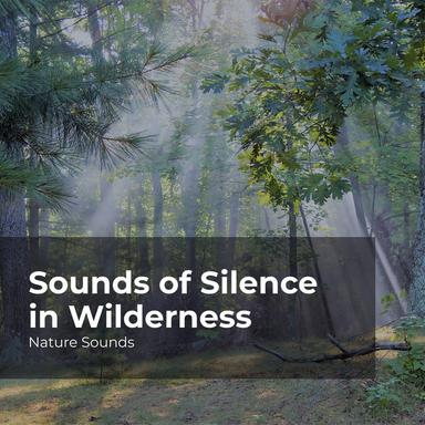 Shallow River Flowing