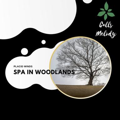 The Pleasure House - Original Mix