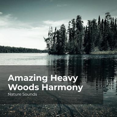 Crystal Clear Riverbed