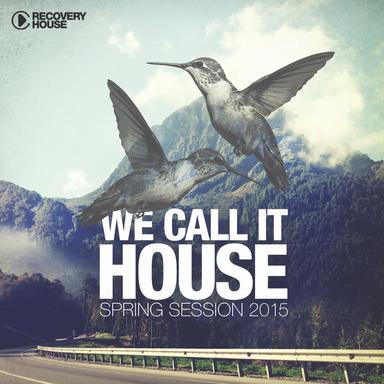 We Call It House - Spring Session 2015