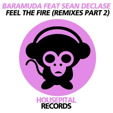 Feel the Fire - Djeem Remix