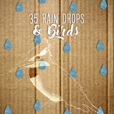 35Rain Drops and Birds