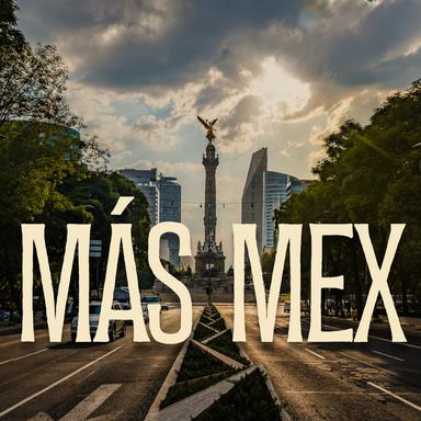 PAL amor soy malo - Remix