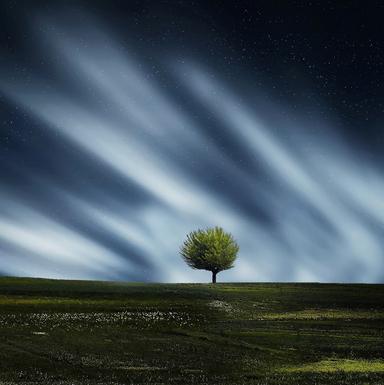 Wonder Serenity