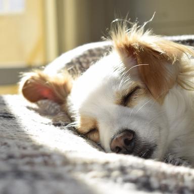 Ambience for Sleeping