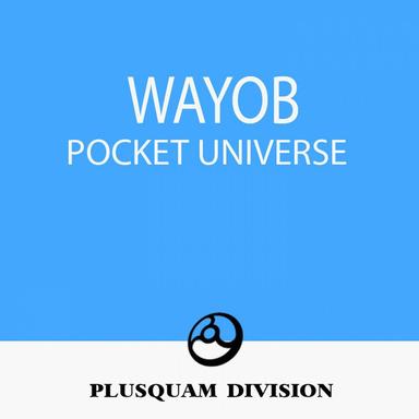 Pocket Universe