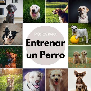 Instinto Animal