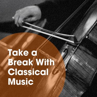 Sonata for Strings No. 1 in G Major: II. Andantino