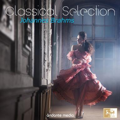 21 Hungarian Dances, WoO 1: No. 2 in D Minor, Allegro non assai - Orchestra Version